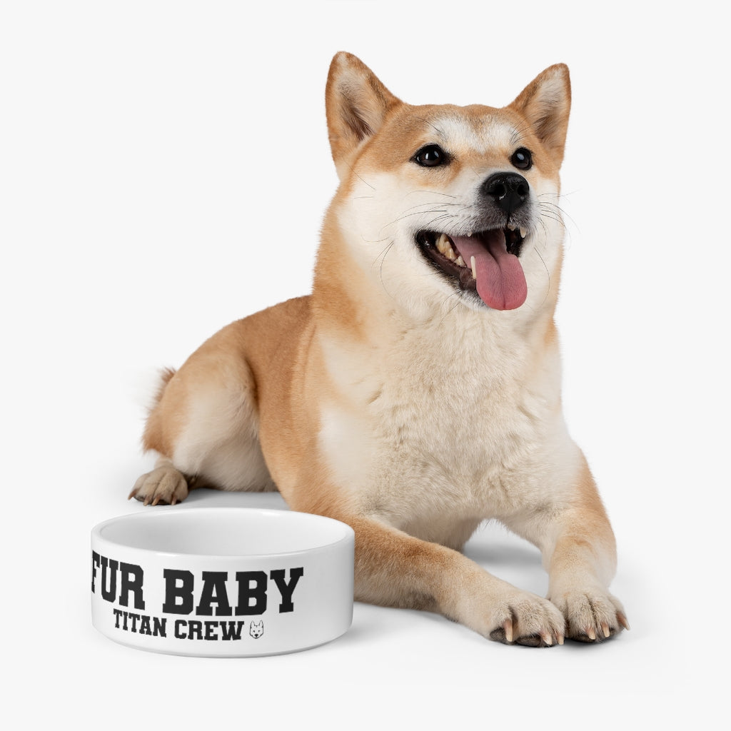 Pet Bowl