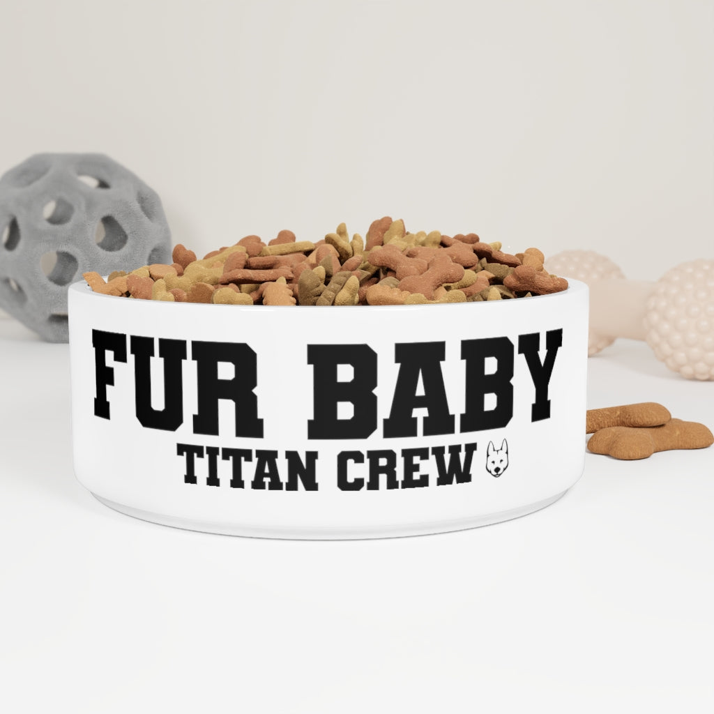 Pet Bowl